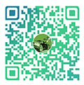 金年会6766澳门联合 金年会6766澳门联合